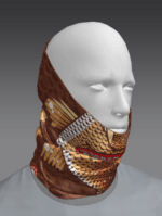 Bob's Faceshields 5 styles to choose from! - Image 15