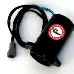 6"+ Action series pump Motor - metal motor housing